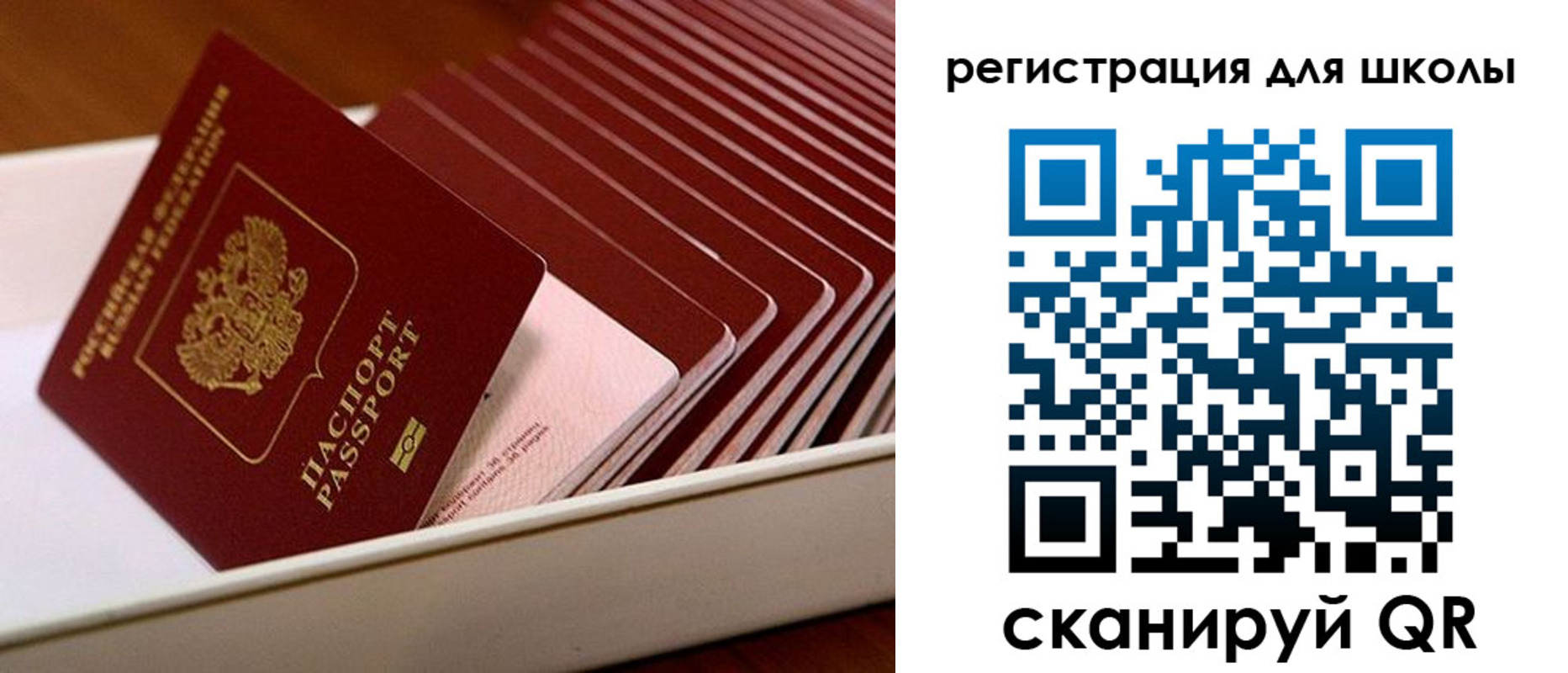 прописка гарантия в Жукове